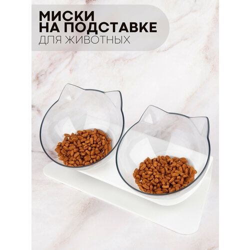 ���� ����� ��� ����� � ����� �����������, ����� ��������, �������, �������, ������ ������