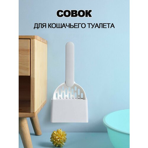 ���� ����� ��� ��������� ������� � ����������, ������ ������