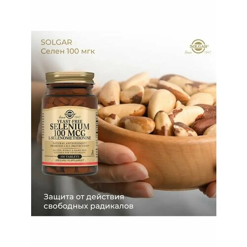 ���� ������, �����, 100 ���, 100 ��������, ������ ������