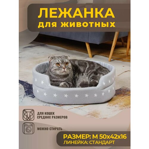 ���� ������� ��� ����� � ����� ������� �����, ����, ������ ������