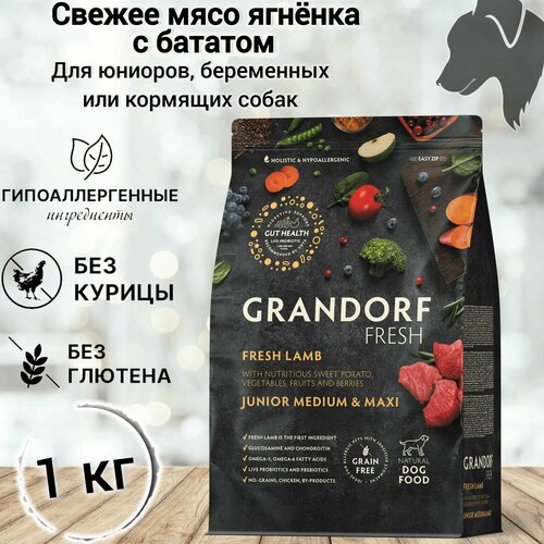      Grandorf Fresh JUNIOR MED&MAXI Lamb&Sweet Potato (          ) 1 .   -     , -  