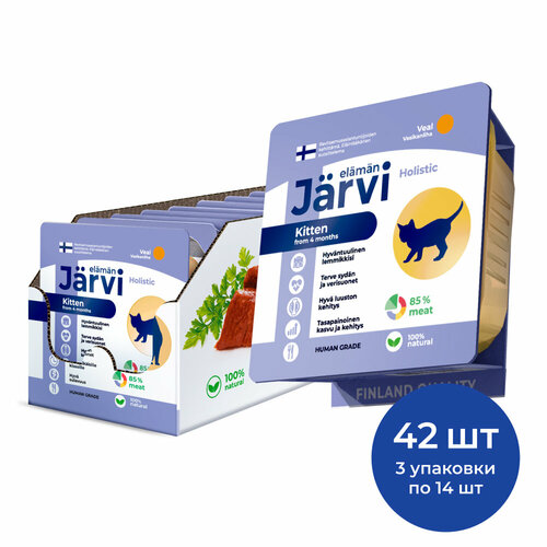  Jarvi       100 .  42    -     , -  