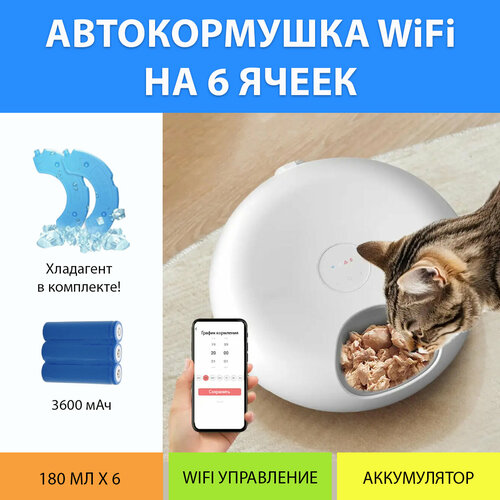    WiFi     .   6   ,    MY PET`S GADGETS   -     , -  