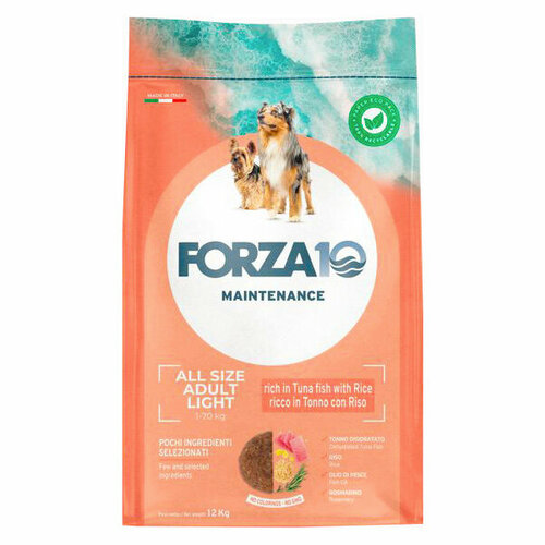  Forza10 Maintenance Light   ,   ,    12    -     , -  