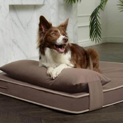 ���� �������-������ ��� ����� � ����� DENNY&KENNY Premium Anatomic 80*140 �� ���� �������, ������ ������