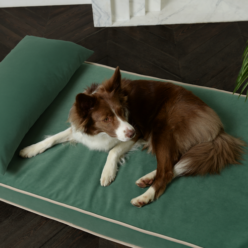 ���� �������-������ ��� ����� � ����� DENNY&KENNY Premium Anatomic 80*100 �� ���� �������, ������ ������