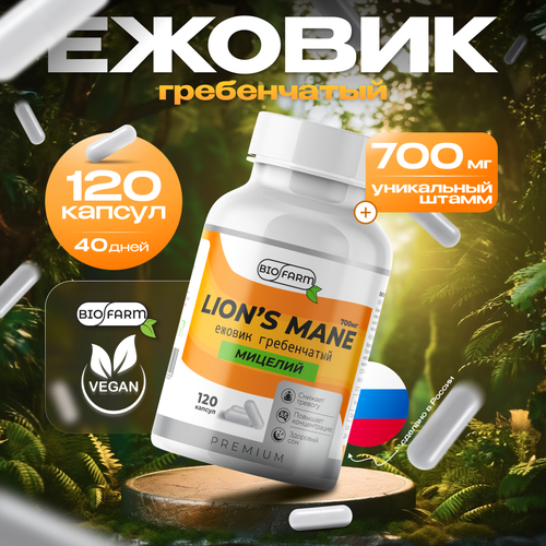 ���� ������ ����������� 700��, ������� ������ �������, lions mane, ������ ������