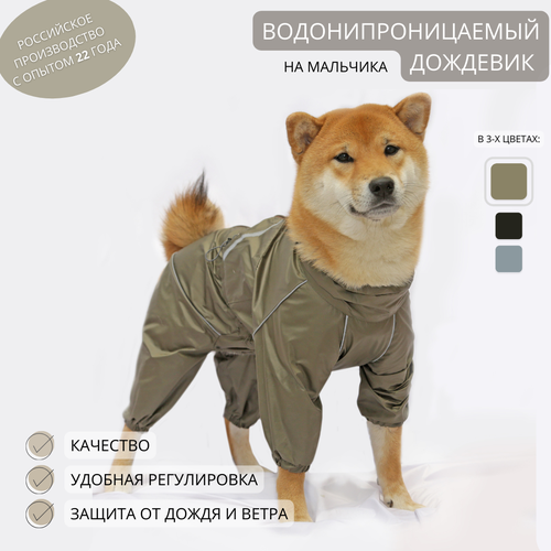 ���� �������� ���������� ��� ����� �����, ������ ������