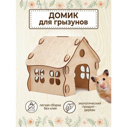 ���� ����� ��� ������ ���� �������� ����������, ������ ������