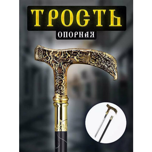 ���� ������ ��� ������ � ������� ����������(�����), ������ ������