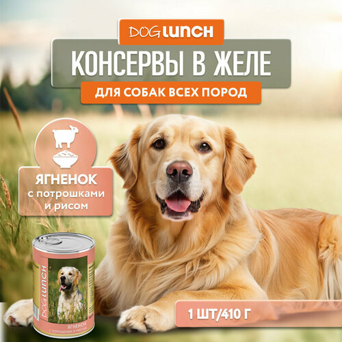    DOG LUNCH          (410)   -     , -  