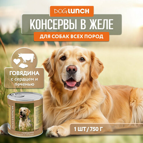      Dog Lunch , ,  1 .  1 .  750    -     , -  