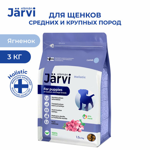  Jarvi          , 1,5 .  2    -     , -  