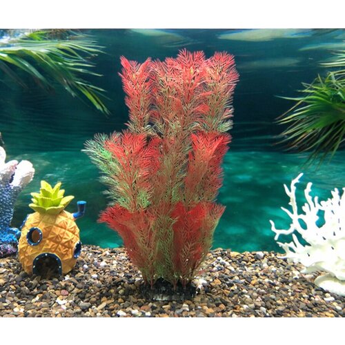 ���� ����������� �������������, �������� 50 ��, ������ ������