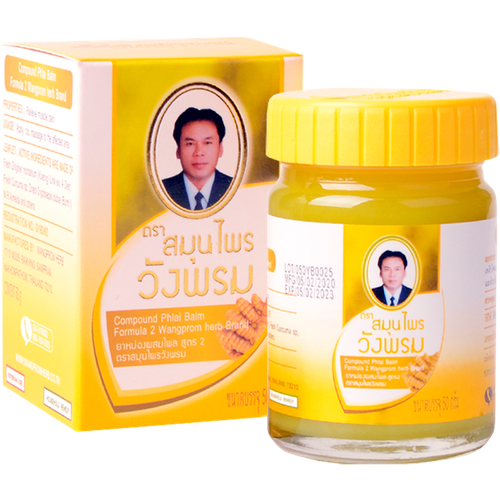 ���� WangProm ������� ������� ������ ������������� � ����������� ����������� ��� ���� 50 ��, ������ ������