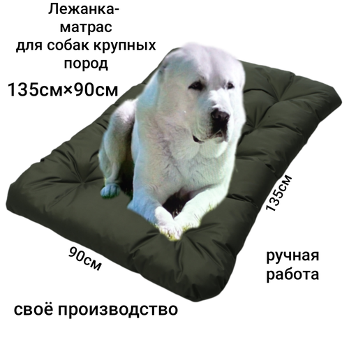 ���� ������-������� 