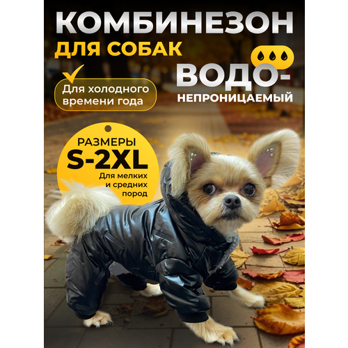 ���� ������ ���������� ��� �����. ������-�, ������ ������