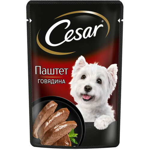      Cesar    1 .  1 .  80    -     , -  