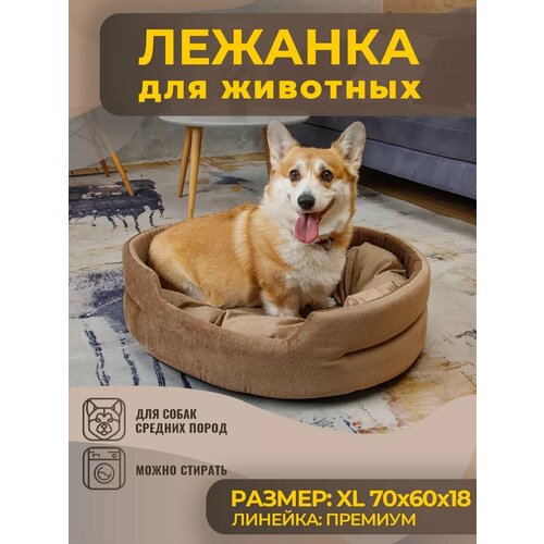 ���� ����� ��� ����� � ����� �������, �����, ������ ������