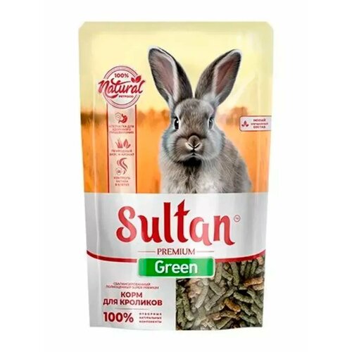 ���� ���� ��� �������� ������, ������ ������