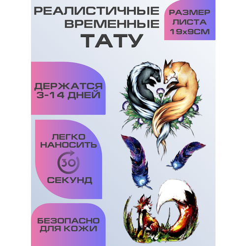 ���� ���� ���������� ��������������, ��������� ����, ������ ������