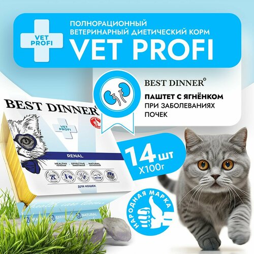    Best Dinner VET PROFI Renal        (14  100)   -     , -  