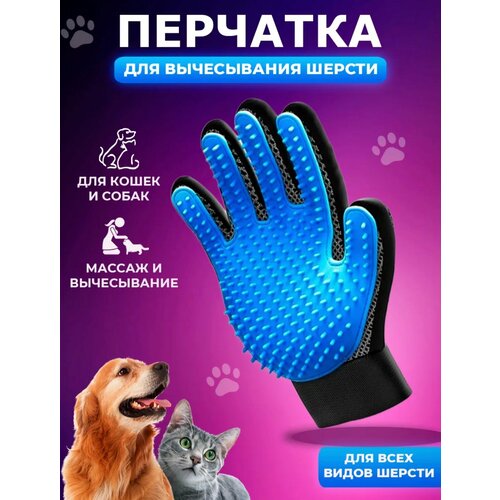 ���� �������� ��� ����������� ������ �����, �����/�������� ��� �����/������� ����� ��� ����� � �����, ������ ������