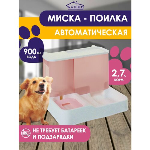 ���� ����� ������ ����������������� �������, ������ ������