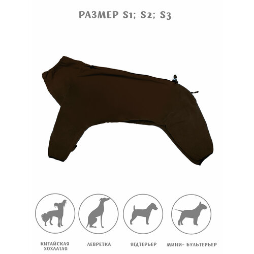 ���� �������� ���������� ��� ����� �� ������ , ���� ���������� , ������ S4, ������ ������