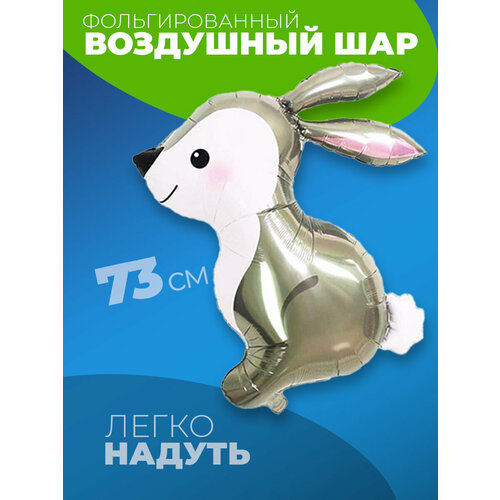 ���� ����� � ������, ������ ������