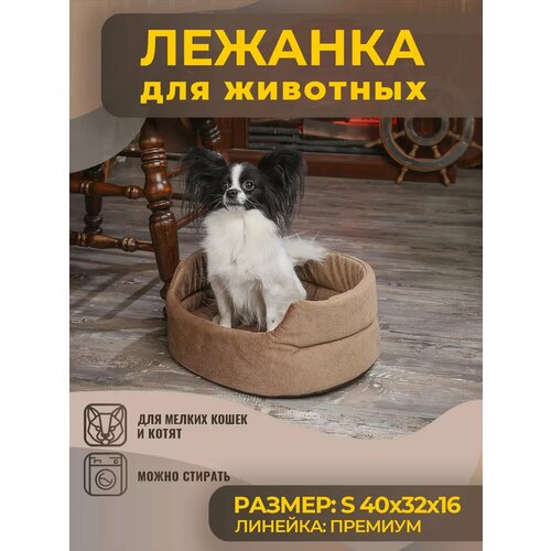 ���� ������� ��� ����� � ����� ������, �����, ������ ������