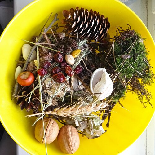 ���� ����������� ��� ���������. ������� ����������� ��� �������� � ����., ������ ������