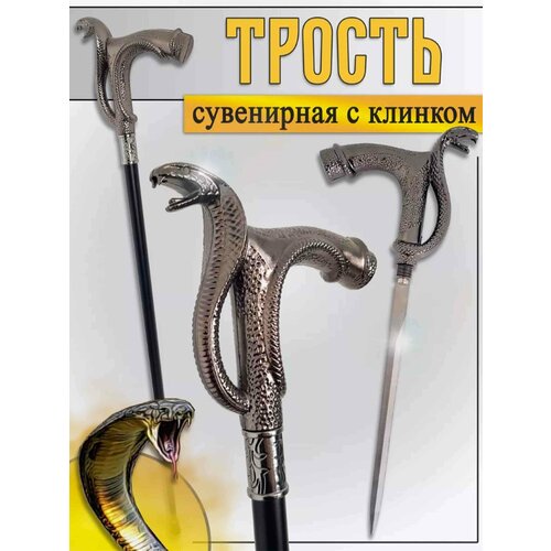 ���� ������ ������� � ������� (����), ������ ������