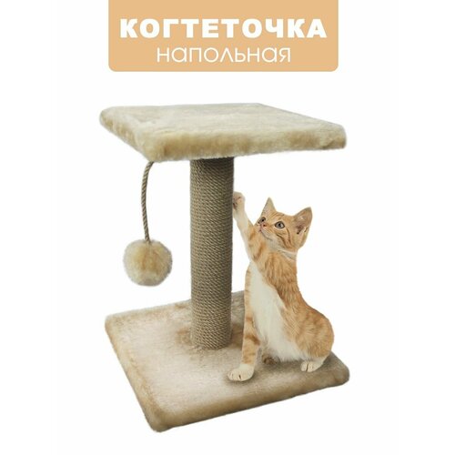 ���� ���������� ������� 