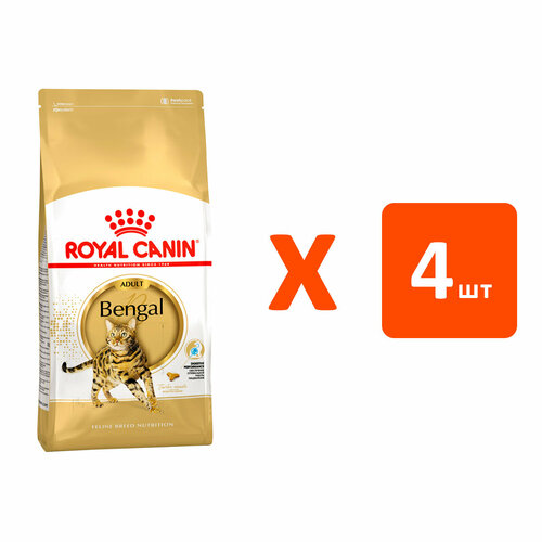  ROYAL CANIN BENGAL ADULT     2   4    -     , -  