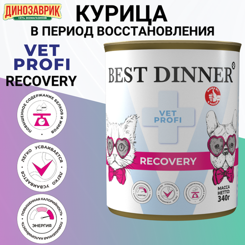   Best Dinner Vet Profi Recovery ,    ,    340   -     , -  