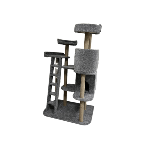 ���� ������� �������� ��� ���������� ����� ��� ���� 