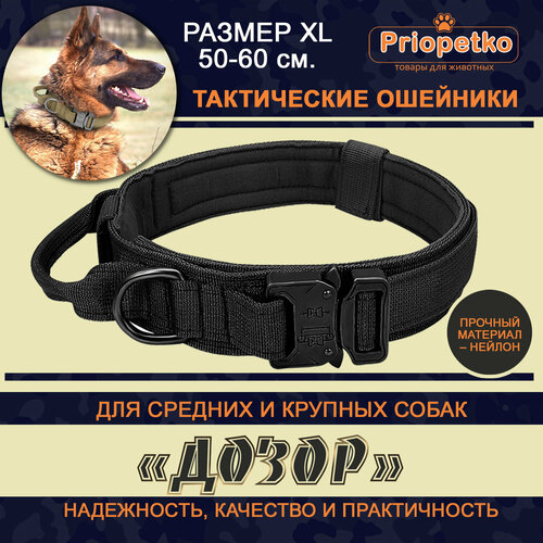 ���� ����������� ������� (������ XL) ��� ����� ����� ������ (������), Priopetko, ������ ������