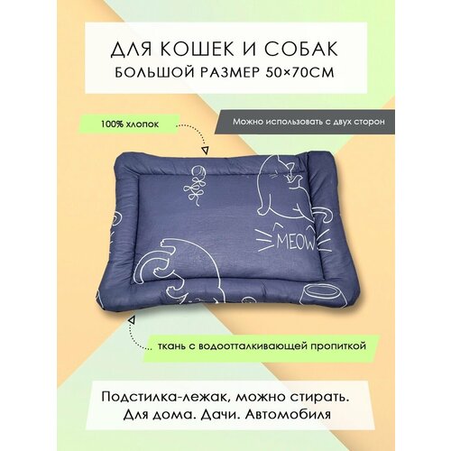 ���� ���������-����� ��� �����/����� 