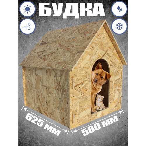 ���� ����� ��� ����� � ����� �������, ������ ������