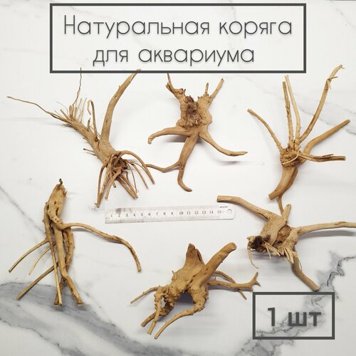 ���� ����������� ������ ��� ��������� 15-20 �� (1 ��), ������ ������