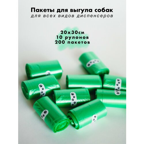 ���� ��������� ����� ��� ��������, ������ ������