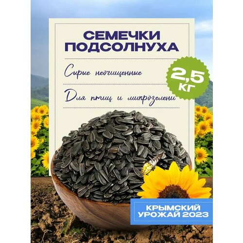 ���� ������� ������������� ����������� ��� ���� � ����������� 2,5 ��, ������ ������