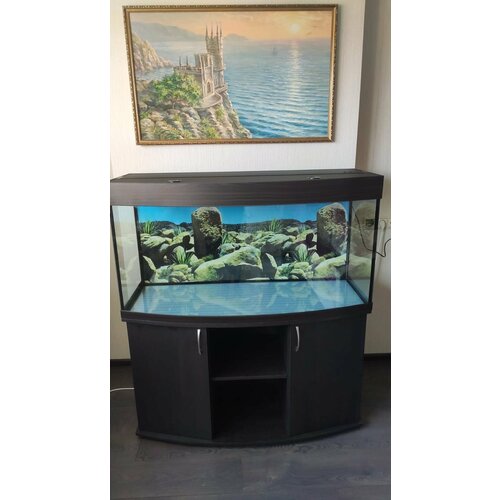   250   AquariumBest     1014964 ()   -     , -  