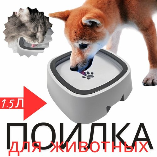 ���� ����� �������� ������������ ��� �������� / ������ � ��������� ������ ��� ����� � ����� / ����� ��� ���� 1,5 �����, ������ ������