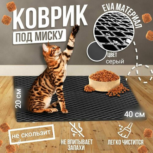 ���� ������ ��� ����� ����� 40 � 20 ��., ������ ������