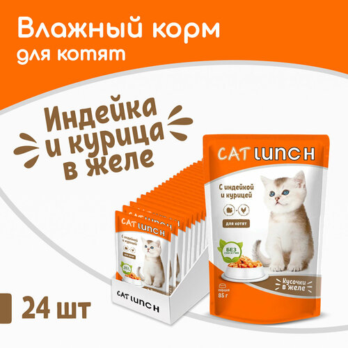      Cat Lunch       ,  8524   -     , -  