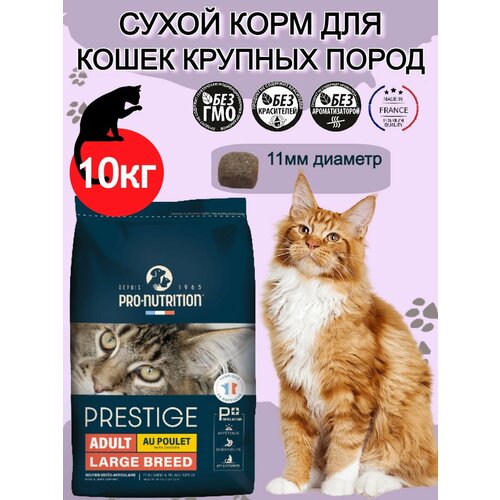        ,        Prestige Adult large Breed (10 )   -     , -  