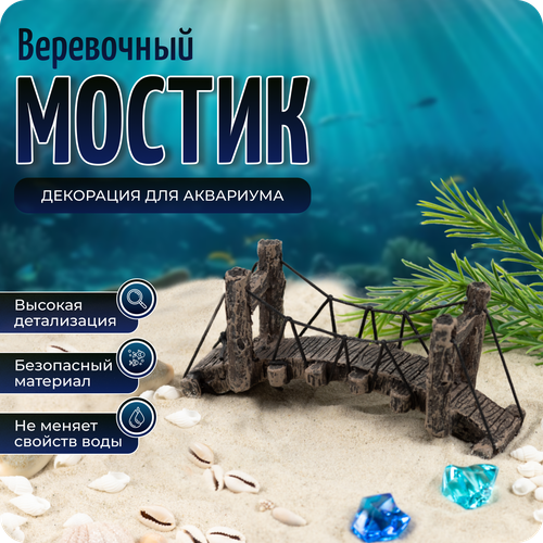 ���� ��������� ��� ��������� 