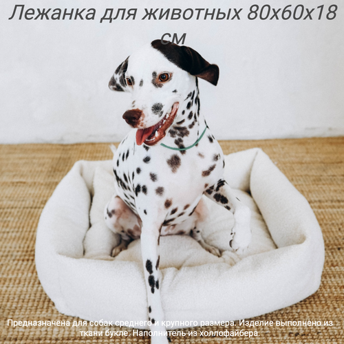 ���� ������� � ���������, ������ L 80�60�18 ��, ����� �����, ���� �����, ������ ������